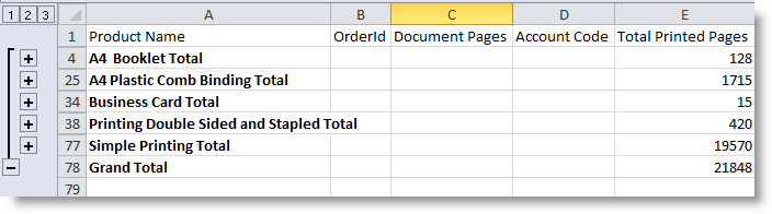 Example showing the use of the Excel feature Sub-total